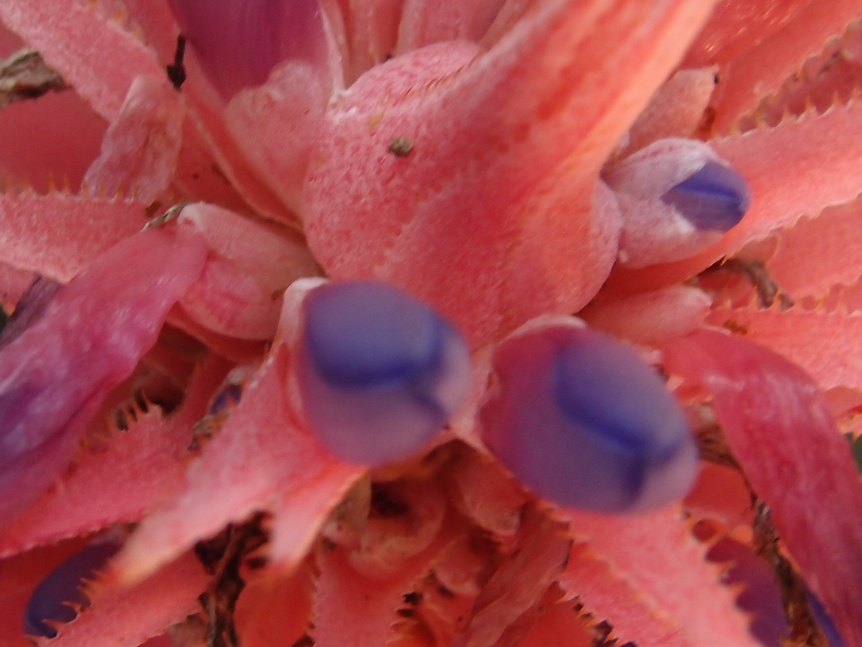 2016-02-18 Paulas Garten (Fotos)